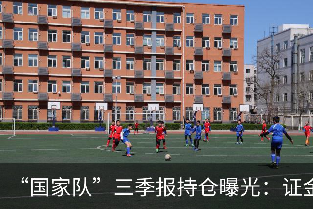 “国家队”三季报持仓曝光：证金重仓中国神华，社保基金增持中金岭南